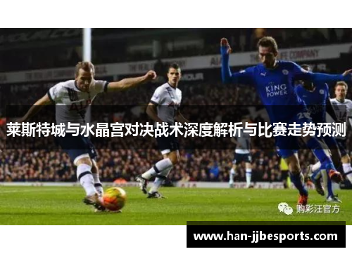 莱斯特城与水晶宫对决战术深度解析与比赛走势预测